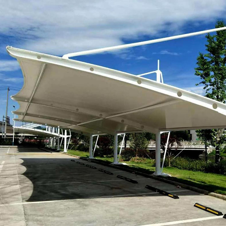 阳新县膜结构汽车棚